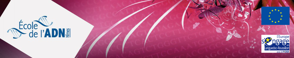 les rencontres eurobiomed des maladies rares